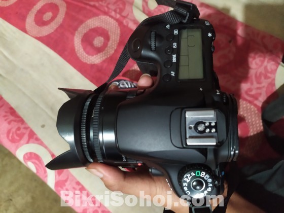 Canon 60 d,with prime lens,professional body